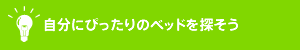 ɂ҂̃xbhT